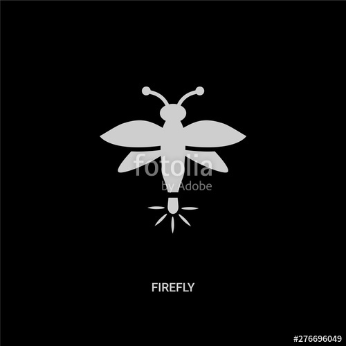 500x500 White Firefly Vector Icon On Black Background Modern Flat Firefly