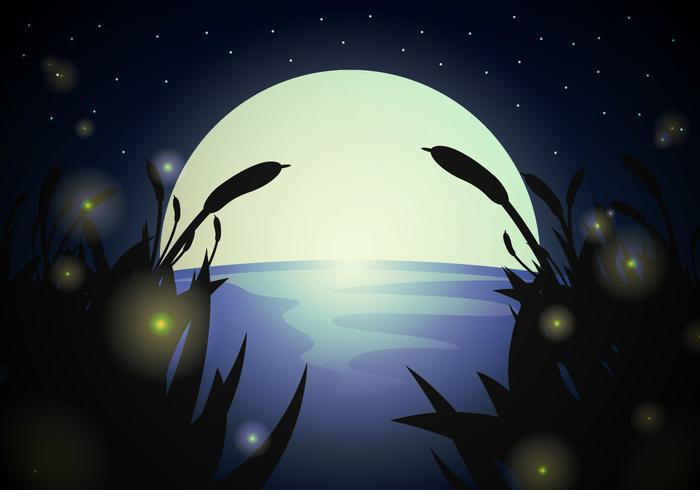 700x490 Firefly Free Vector Art
