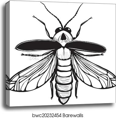 382x390 Firefly Insect Black Inky Drawing, Canvas Print Barewalls