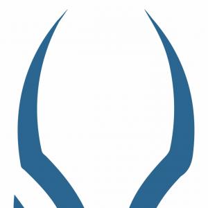 300x300 Firefly Square Banner Set Gm Newwaysys