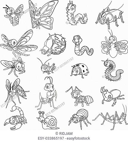 430x477 Firefly Beetle Book Stock Photos And Images Age Fotostock