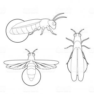 300x300 Stock Illustration U Turn Vector Icon Isolated Lamaison
