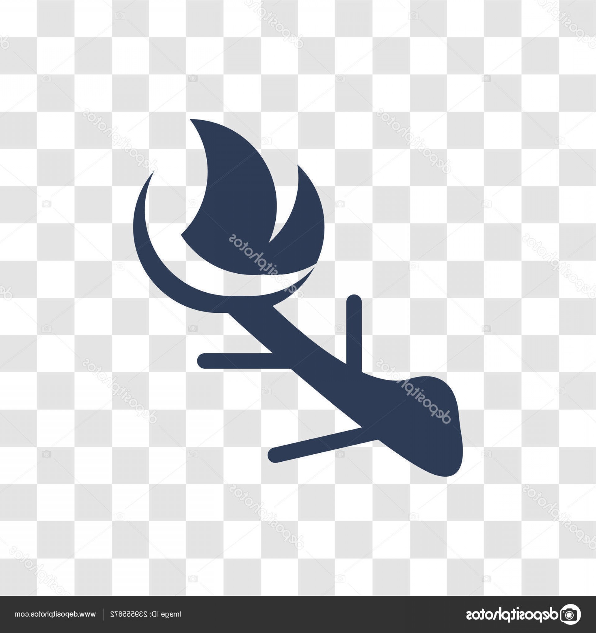 1920x2040 Transparent Firewood Vector Studiogrfx