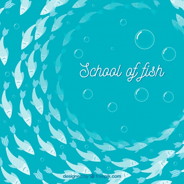 626x626 Fish Background Vectors, Photos And Free Download