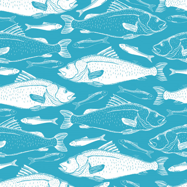 626x626 Fish Seamless Background Vector Free Download