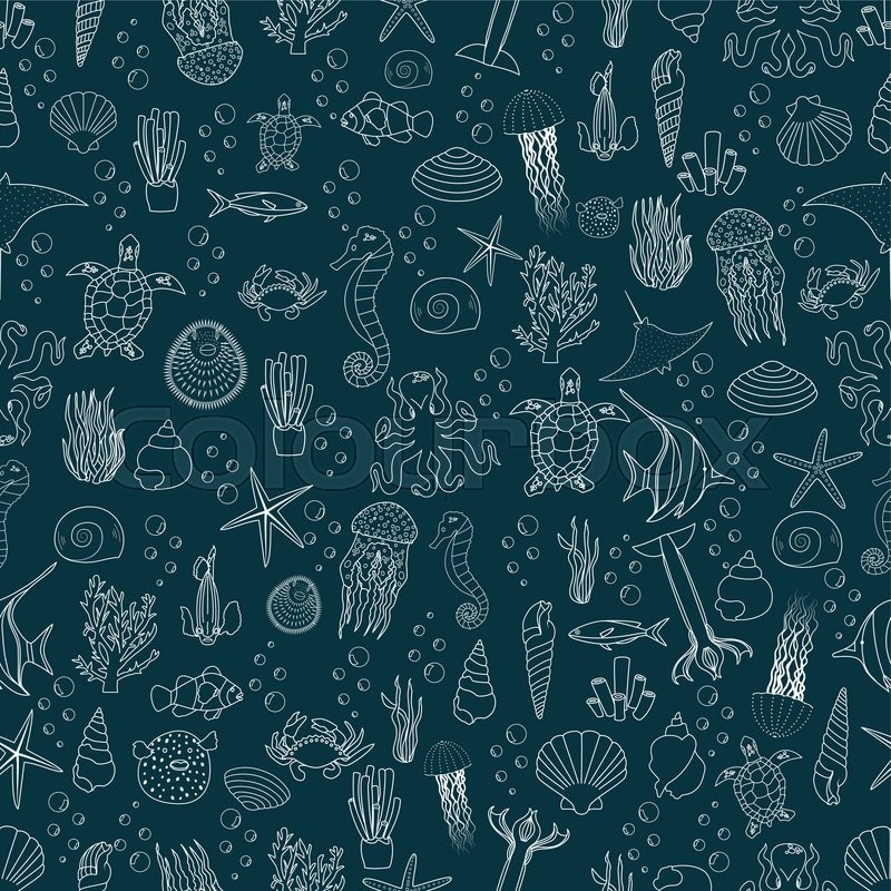 800x800 Vector Seamless Pattern Of Sea Life, Stock Vector Colourbox