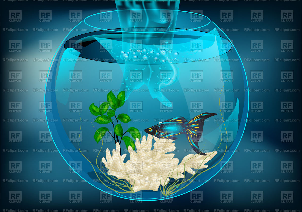 1200x843 Aquarium With Fish On Abstract Dark Background Vector Image