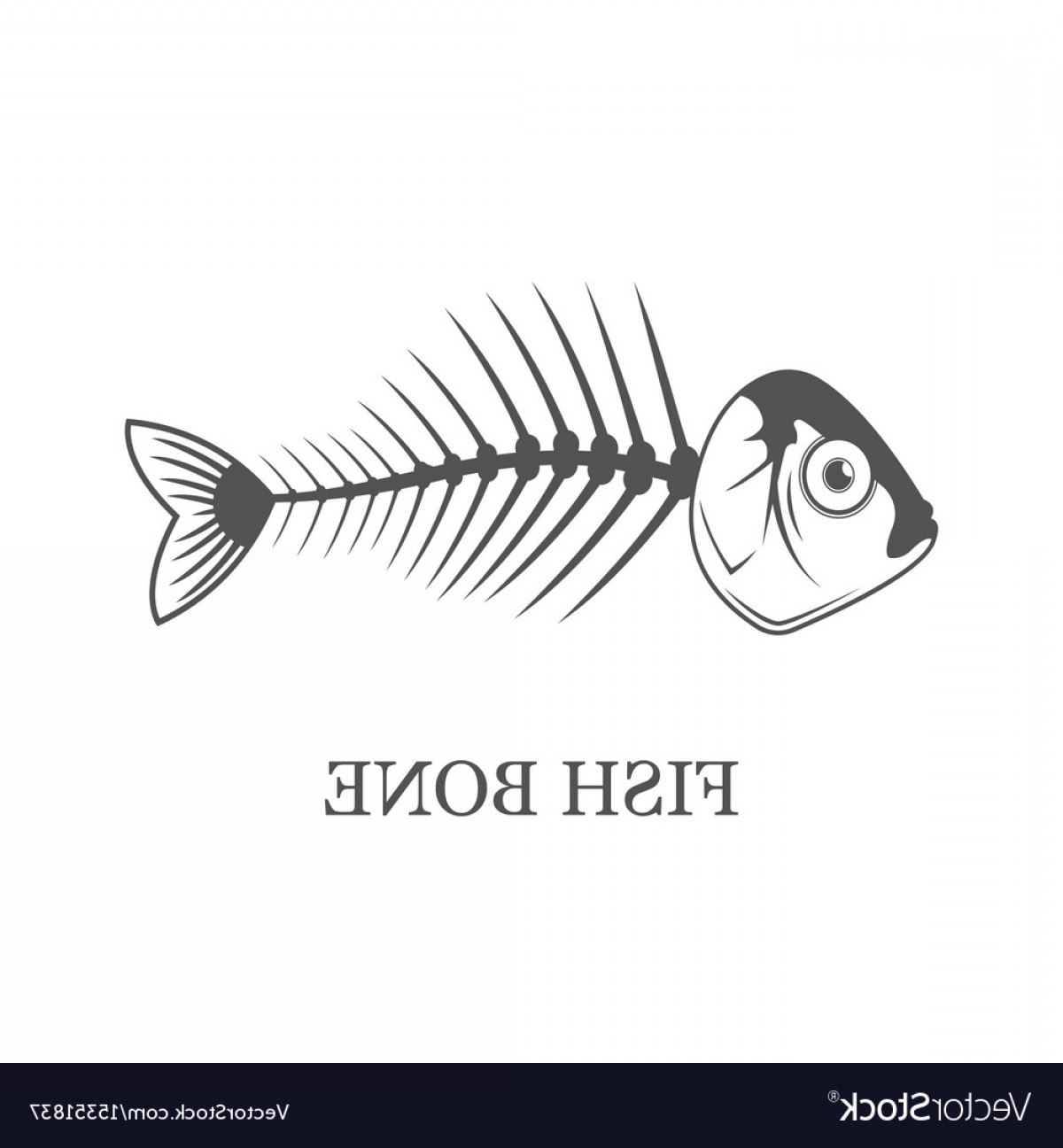 1200x1296 Fish Bone Fish Skeleton Grey Vector Cqrecords