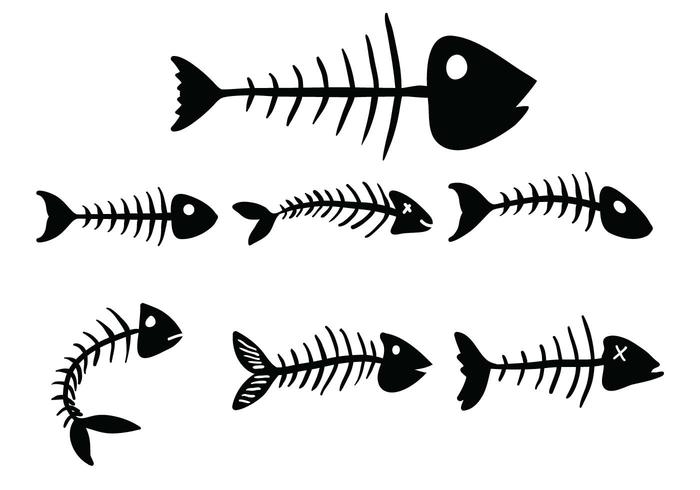 Download Fish Bone Vector at Vectorified.com | Collection of Fish ...