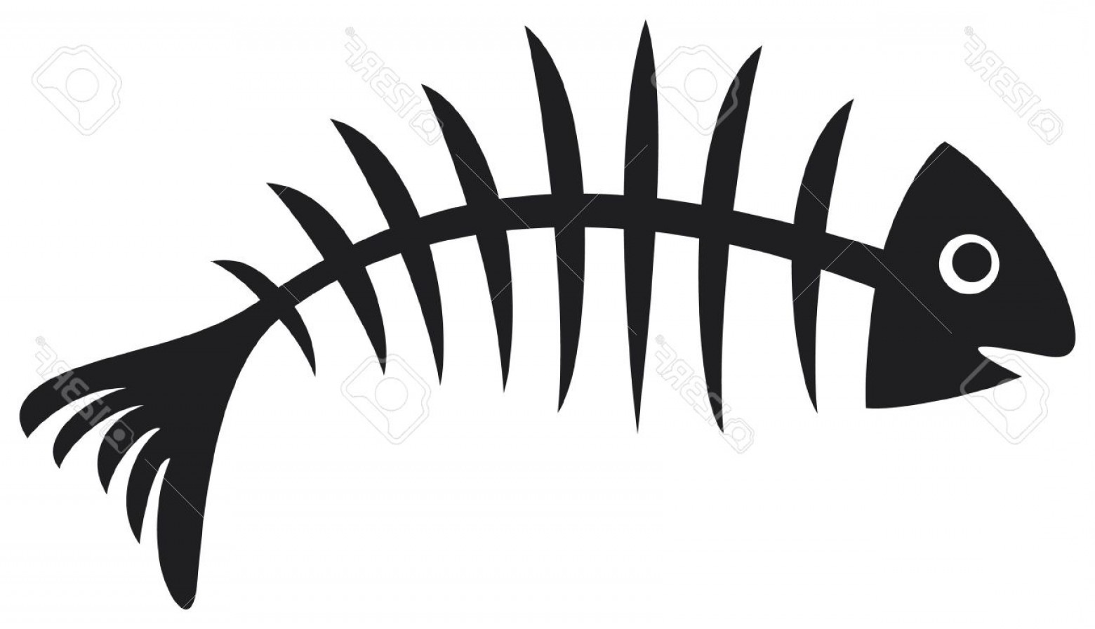 1560x896 Photofish Bone Illustration Of Black Fish Bone Fish Skeleton