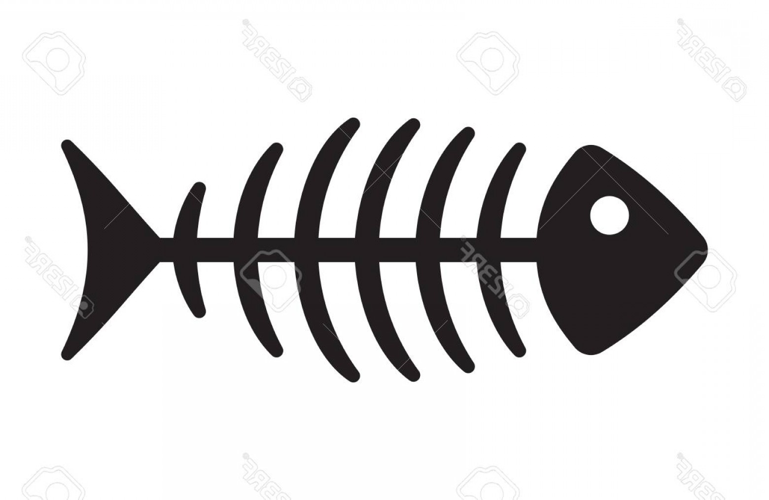 1560x1014 Photostock Vector Fish Bone Vector Icon Soidergi
