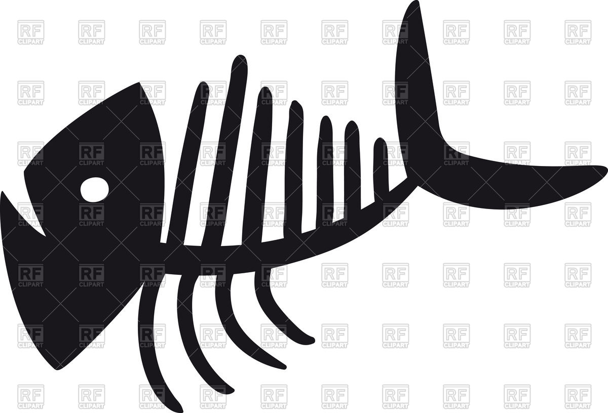 1200x816 Sketch Of Fish Bone