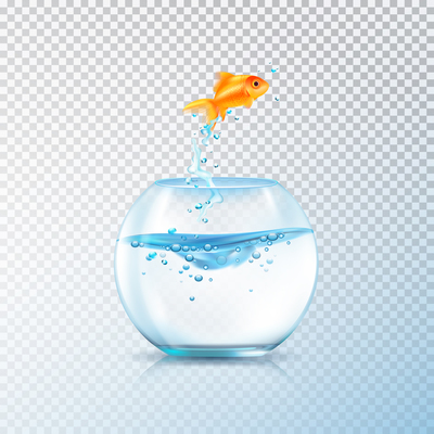 400x400 Fish Bowl On Curated Vector Illustrations, Stock Royalty Free