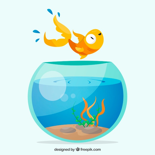 Download Fish Bowl Vector at Vectorified.com | Collection of Fish ...