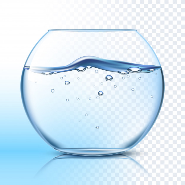 Download Fish Bowl Vector at Vectorified.com | Collection of Fish ...