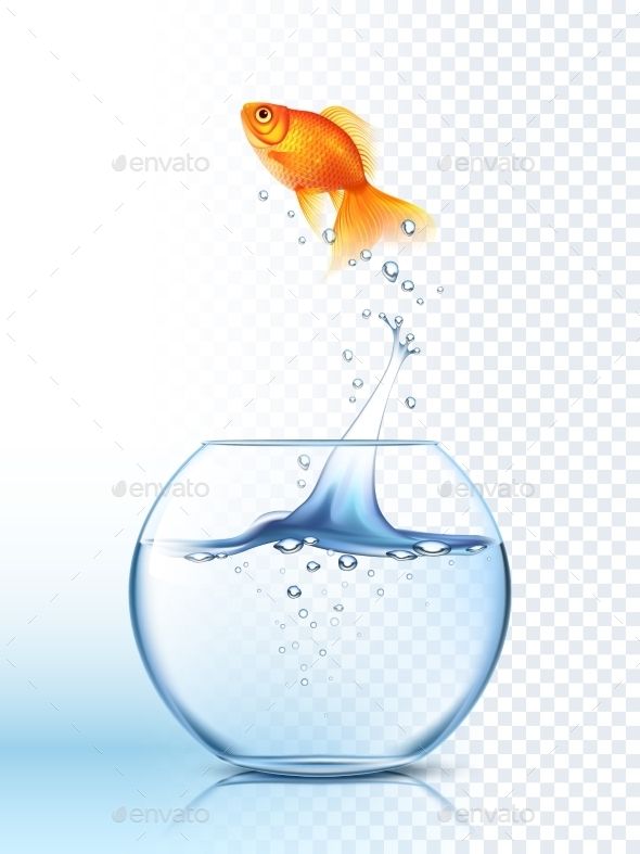 590x787 Golden Fish Jumping Out Bowl Poster Web Element Vectors Fish