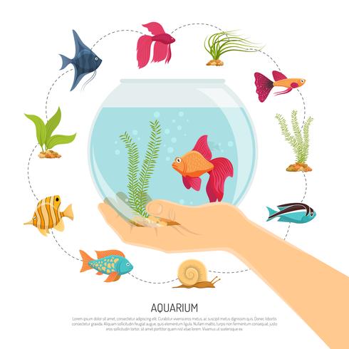 490x490 Fish Bowl Hand Composition