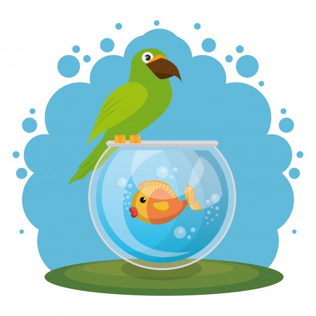 626x626 Fish Bowl Vectors, Photos And Free Download