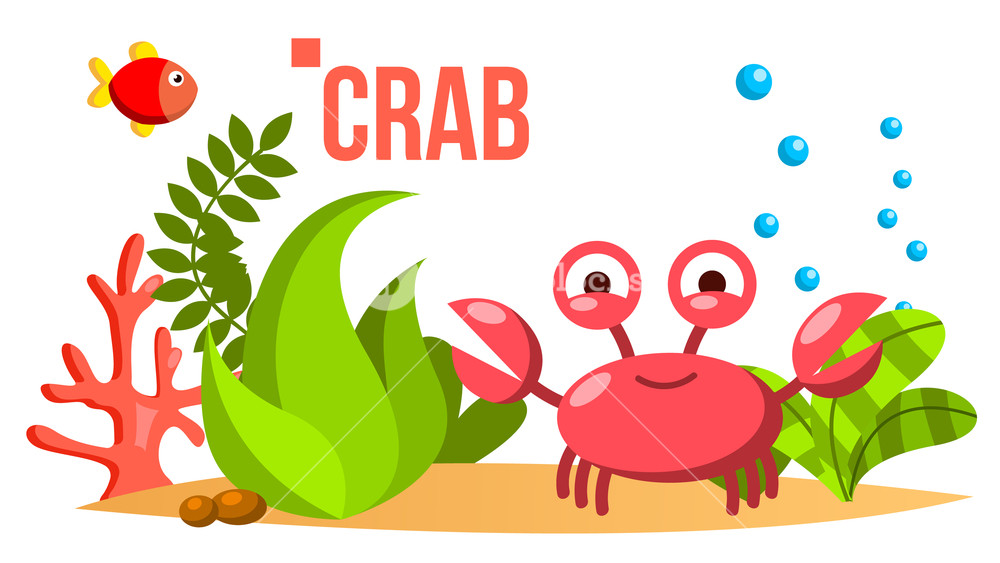 1000x563 Crab Vector Sea, Ocean Bottom With Seaweed And Fish Isolated