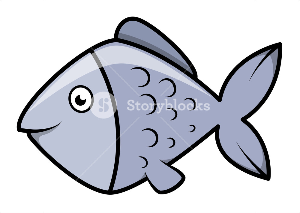 1000x710 Fish