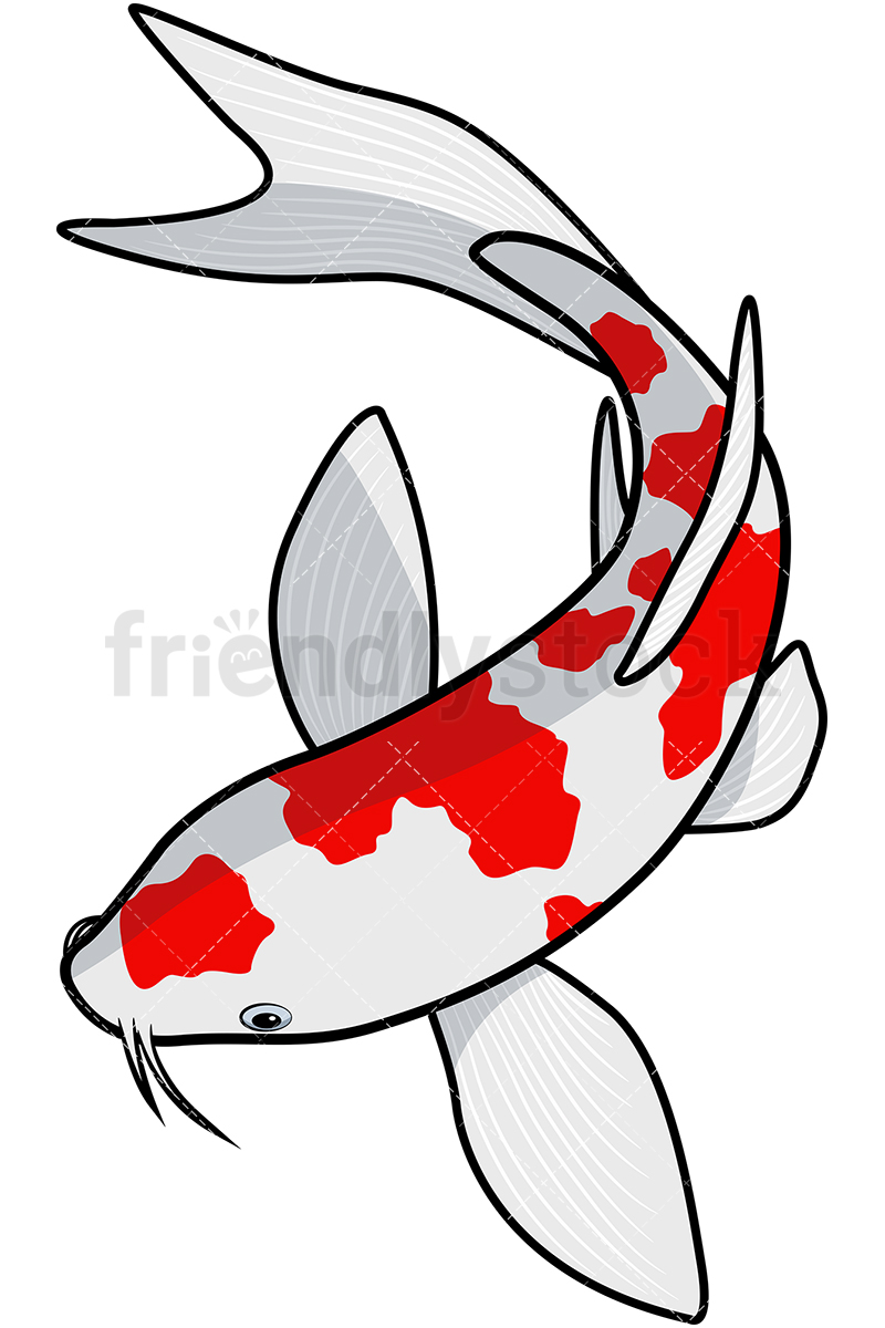 800x1200 Koi Fish Cartoon Vector Clipart