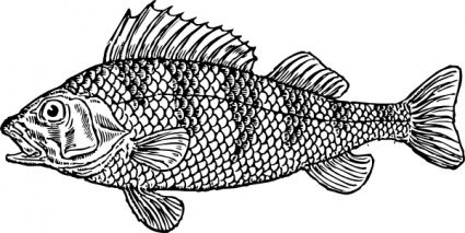 425x213 Fish Fry Vector Fish Fry Graphics Me Vector, Clipart