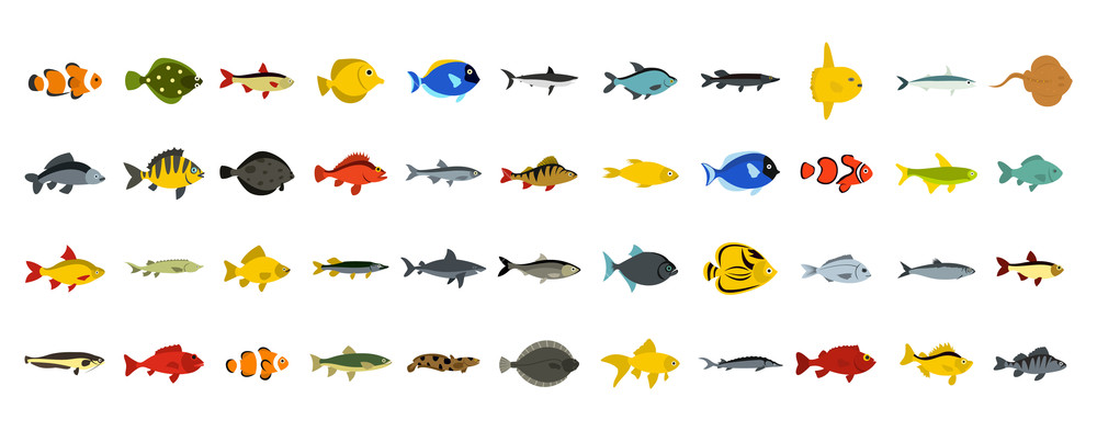 1000x393 Fish Icon Set Flat Set Of Fish Vector Icons For Web Design