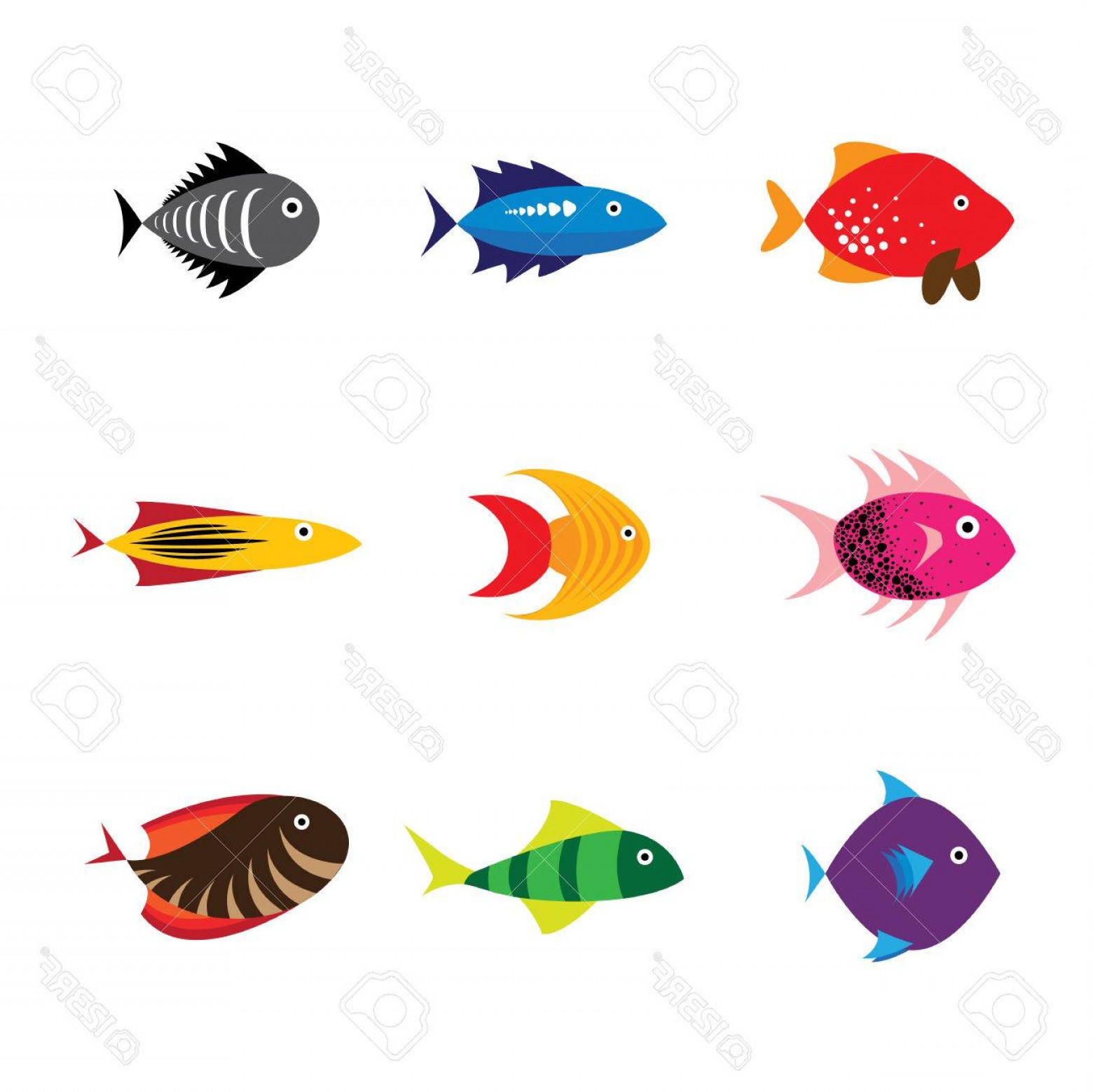 1560x1558 Photofish Icon Fish Icon Fish Icon Vector Fish Icon Flat