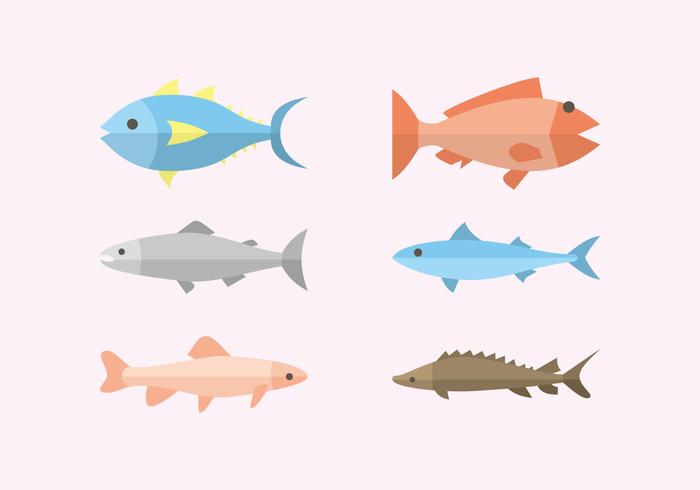 Flat Fish Illustration Vector 700x490 Flat Fish Illustration Vector