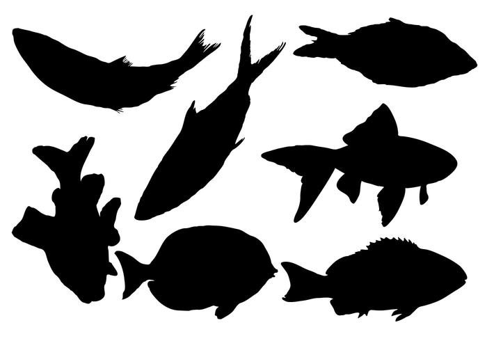 Free Fish Silhouette Vector 700x490 Free Fish Silhouette Vector