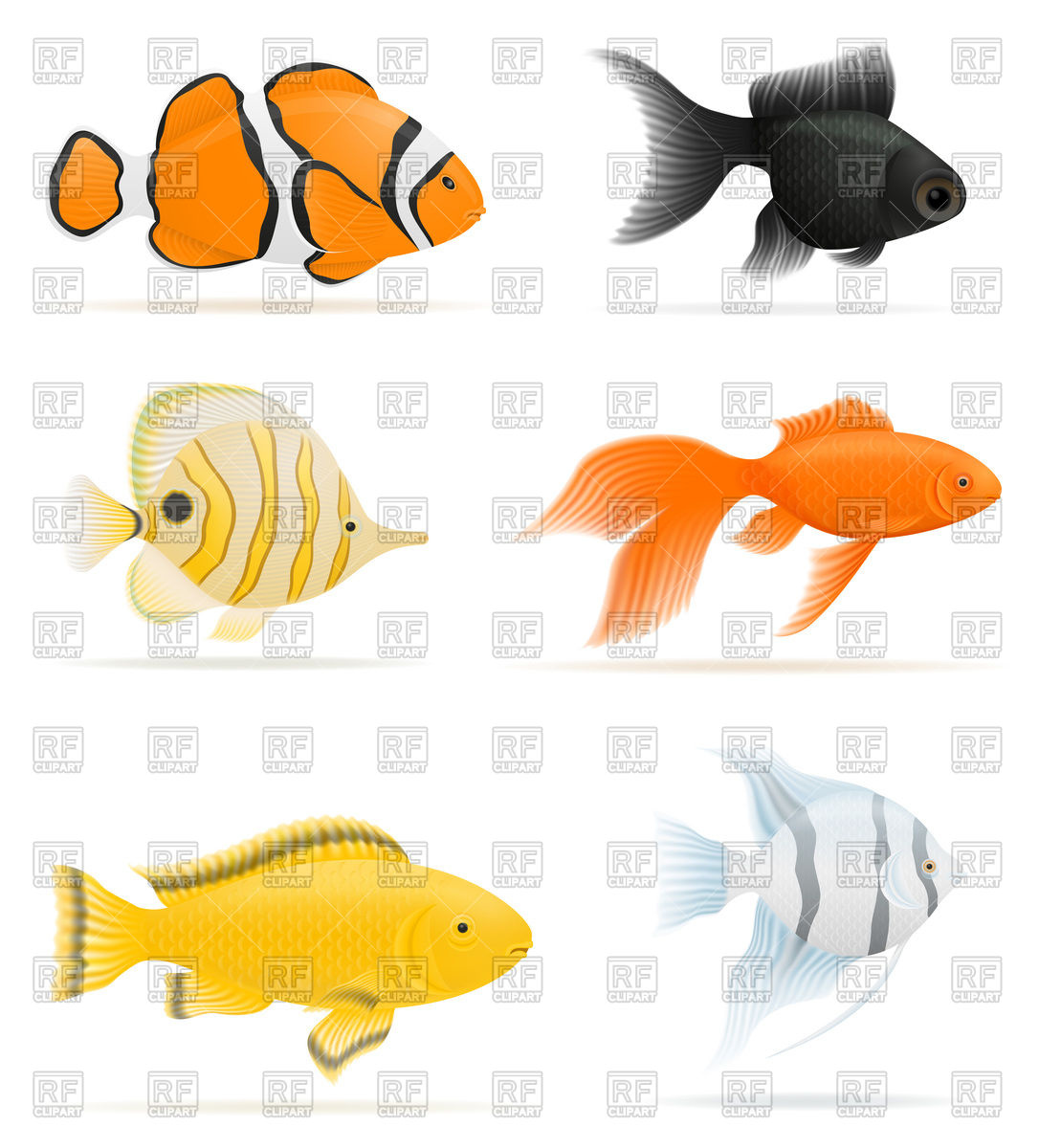 Set Of Aquarium Fish Vector Image Of Plants And Animals 1086x1200 Set Of Aquarium Fish Vector Image Of Plants And Animals