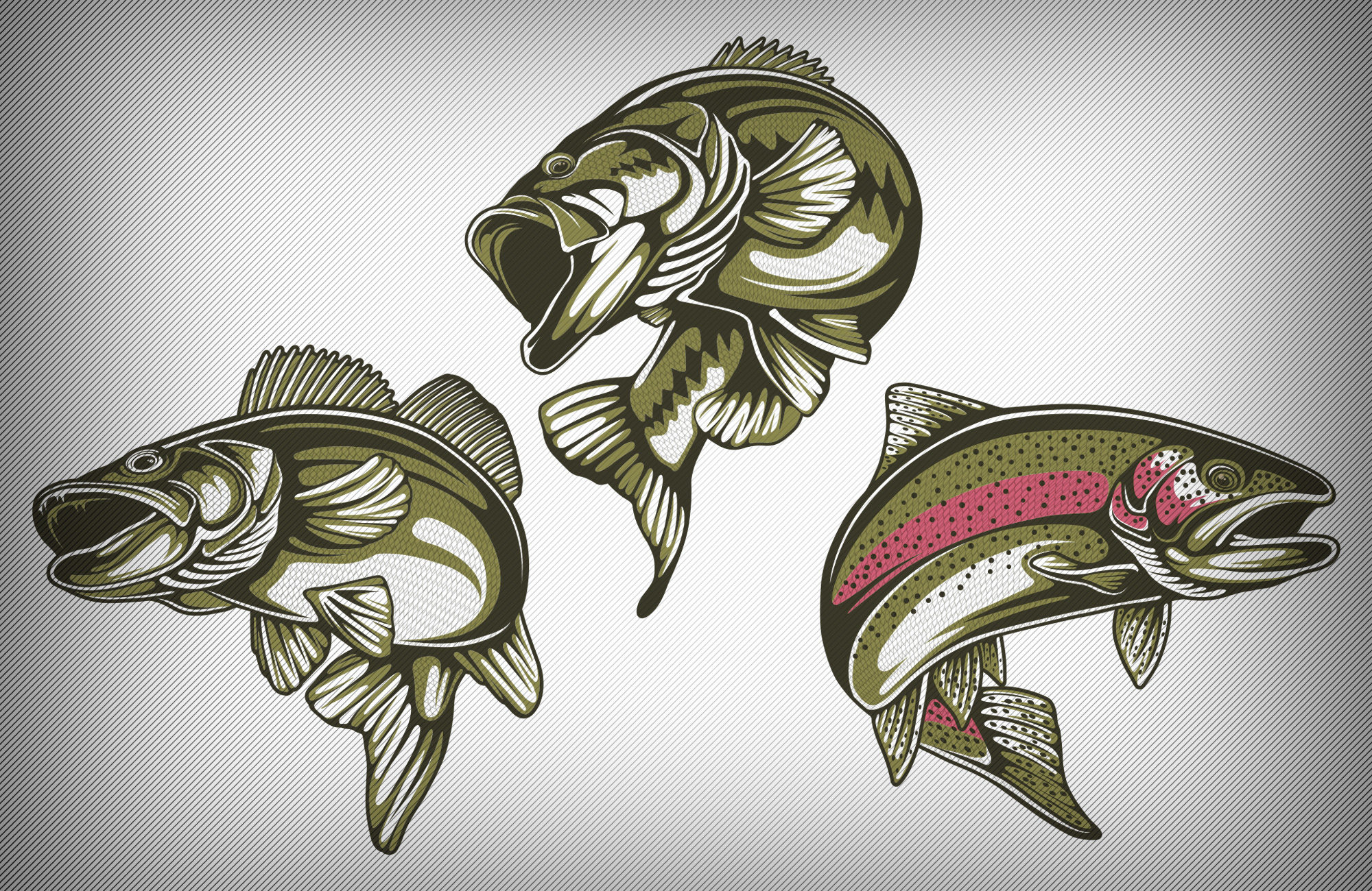 Vector Graphics 2000x1300 Vector Graphics