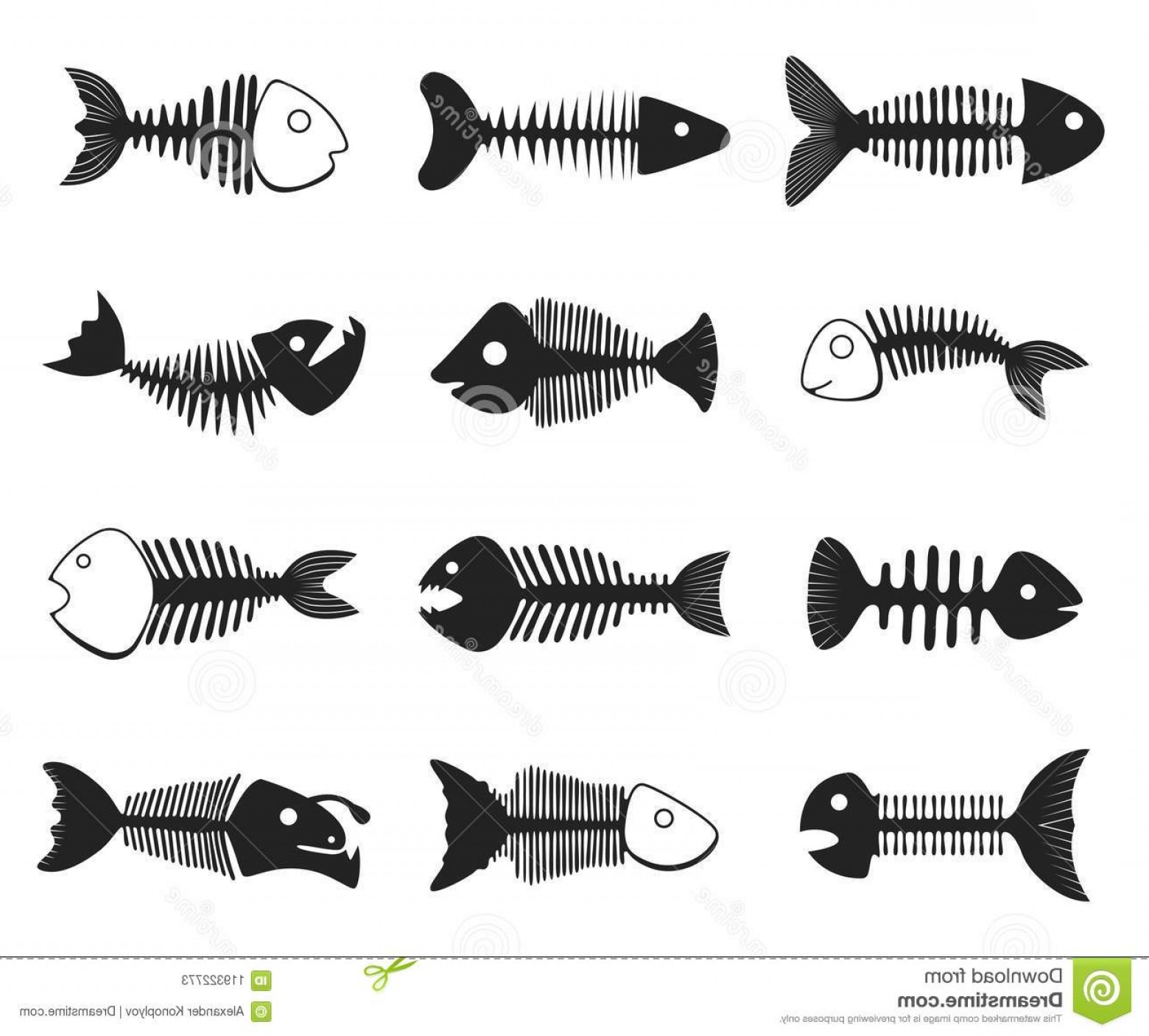 Fish Skeleton Set Black White Bones Basic Structure Framework 1560x1407 Fish Skeleton Set Black White Bones Basic Structure Framework