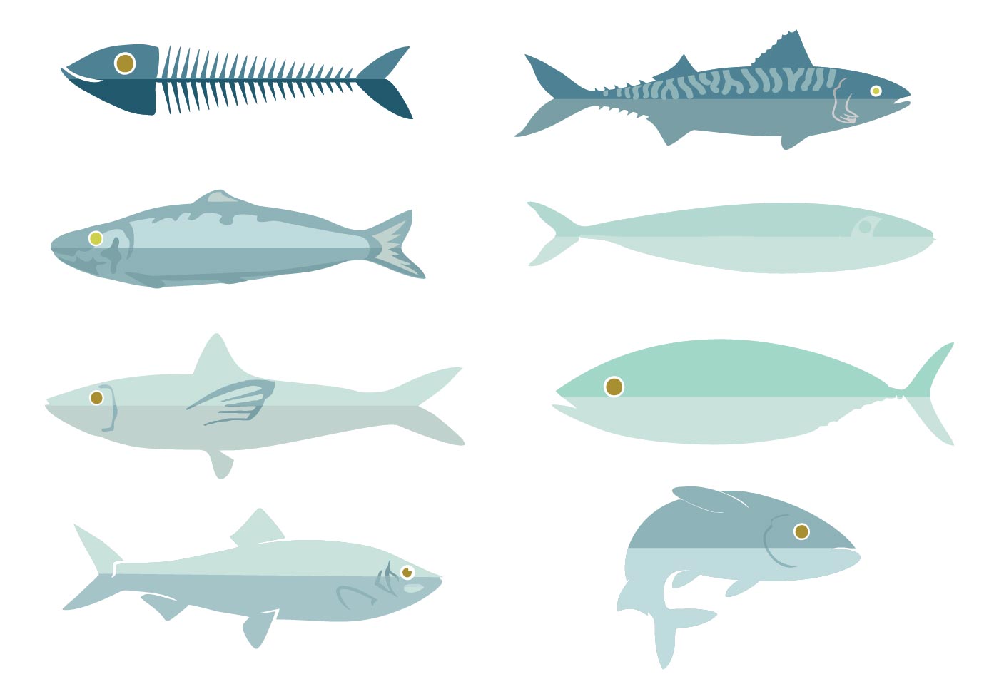 Fish Vector Free 1400x980 Fish Vector Free