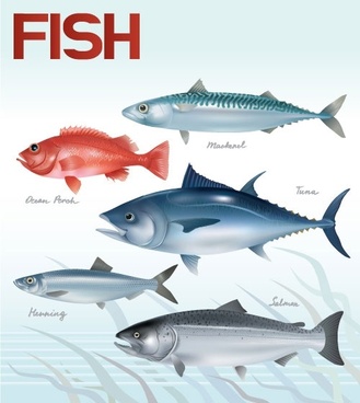 Fish Free Vector Download 329x368 Fish Free Vector Download
