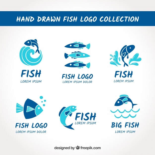 626x626 Fish Vectors, Photos And Free Download