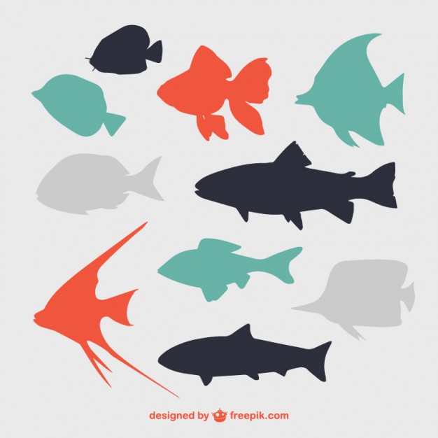 626x626 Fish Silhouette Vectors, Photos And Free Download