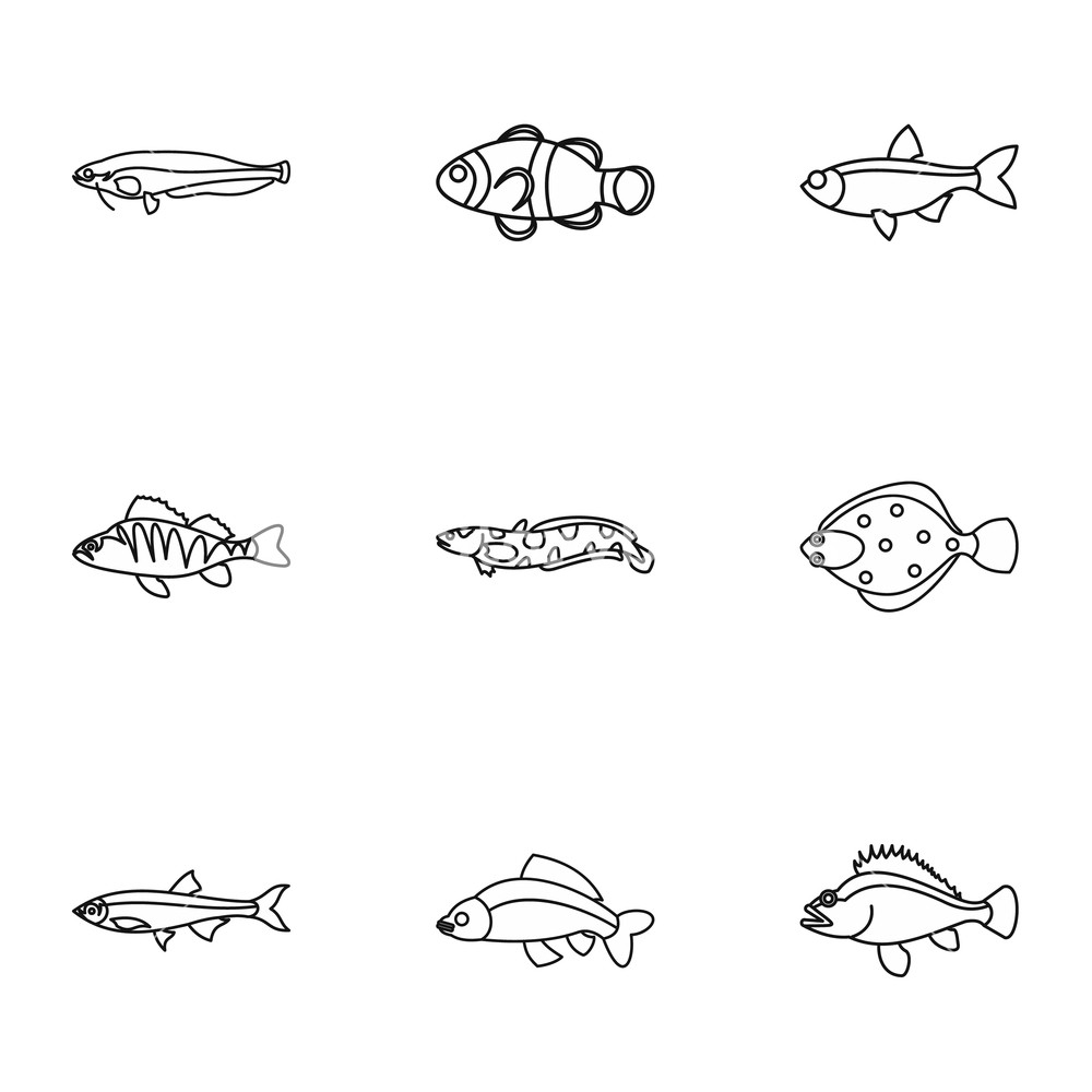 1000x1000 Fish Icons Set Outline Illustration Of Fish Vector Icons