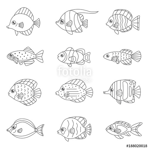 500x500 Fish Outline Vector Icon Set