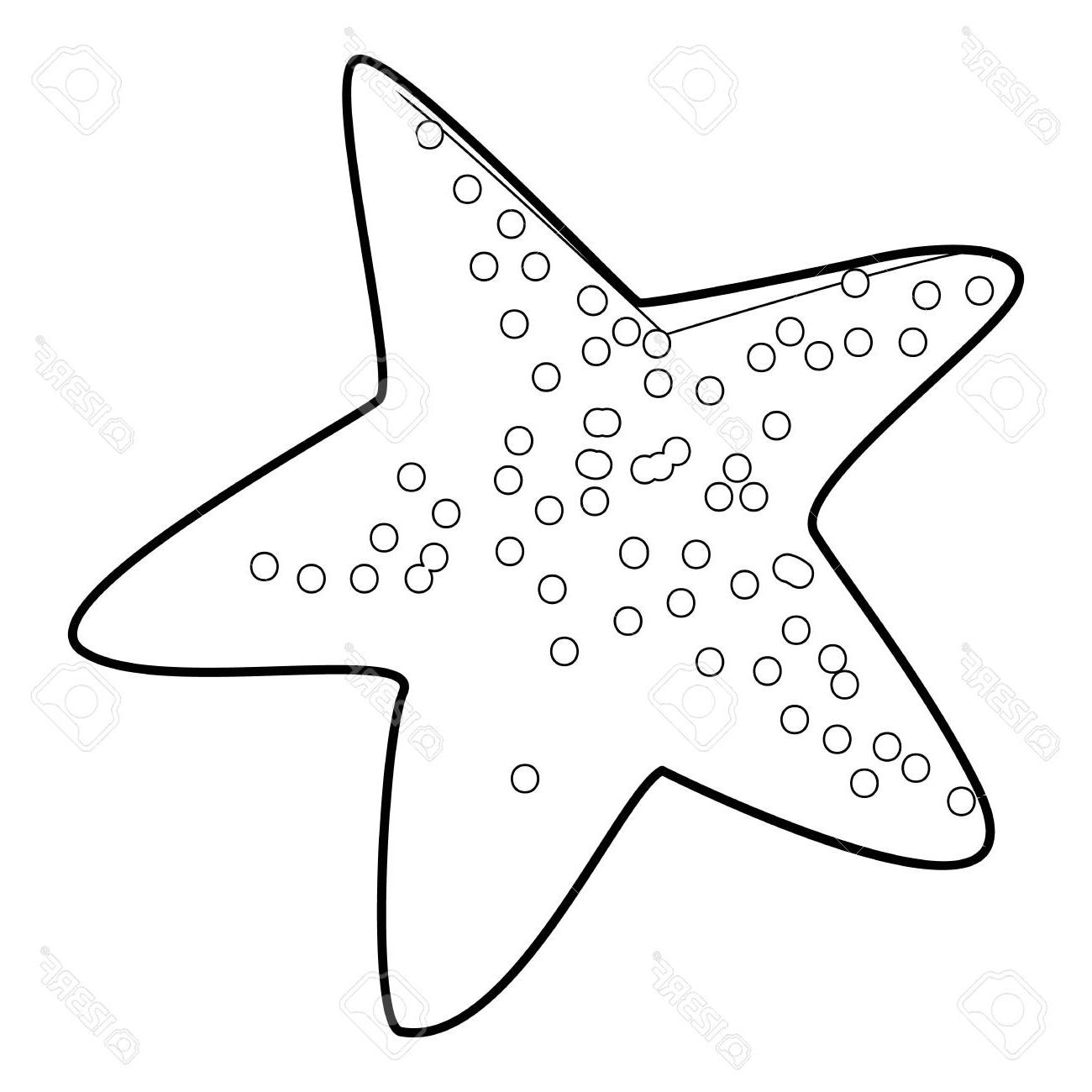 1300x1300 Hd Star Fish Outline Vector Library Free Vector Art, Images
