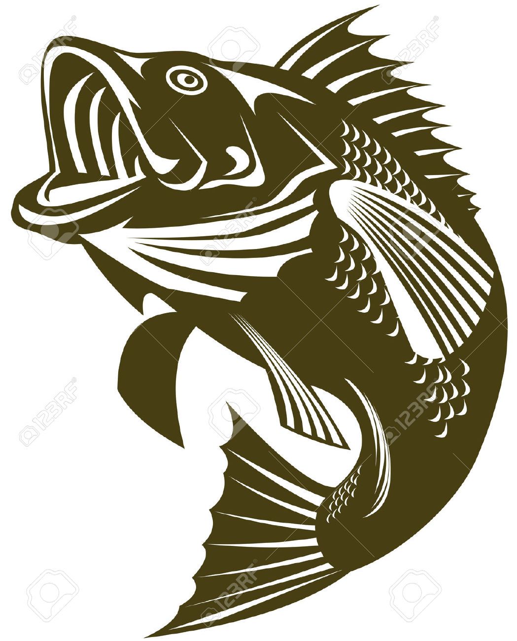 1049x1300 Largemouth Bass Cliparts Stock Vector And Royalty Free Largemouth