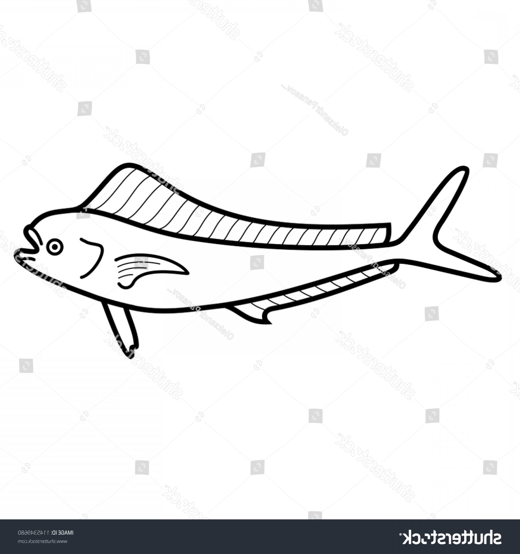 1800x1920 Cow Dolphin Mahi Fish Mount Vector Boozeworthy