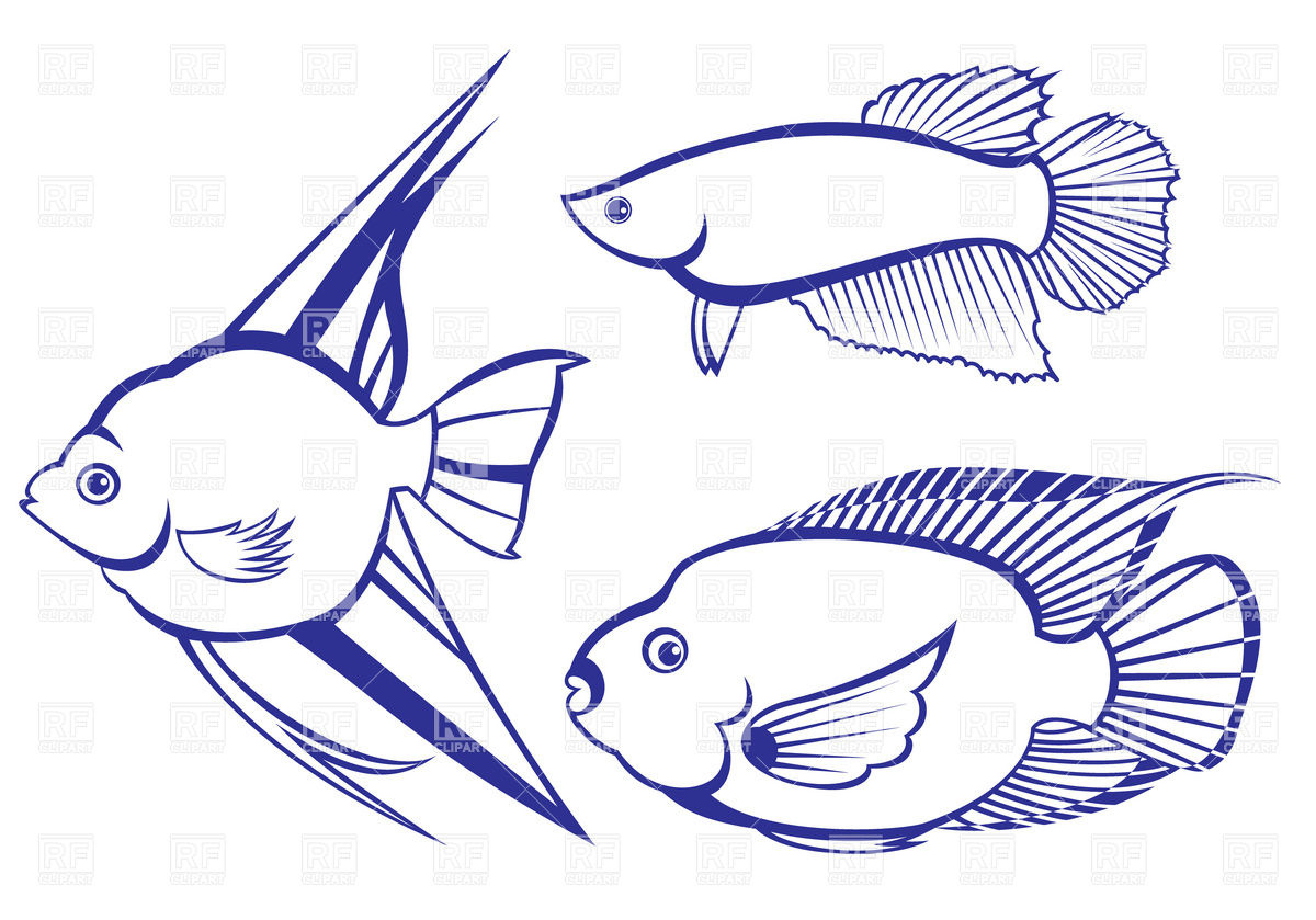 1200x839 Tropical Fish Outline Vector Image Of Plants And Animals Dvarg