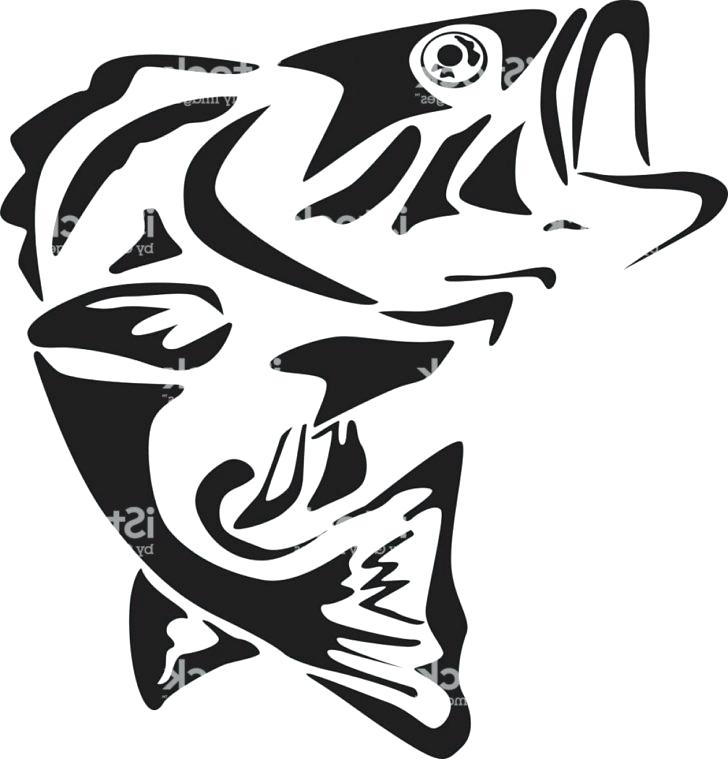 728x759 Bass Fish Outline