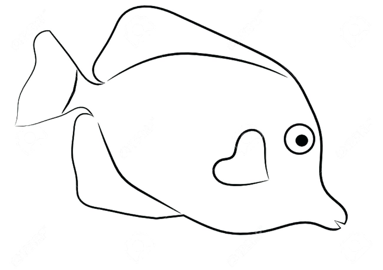 1300x917 Simple Fish Outline
