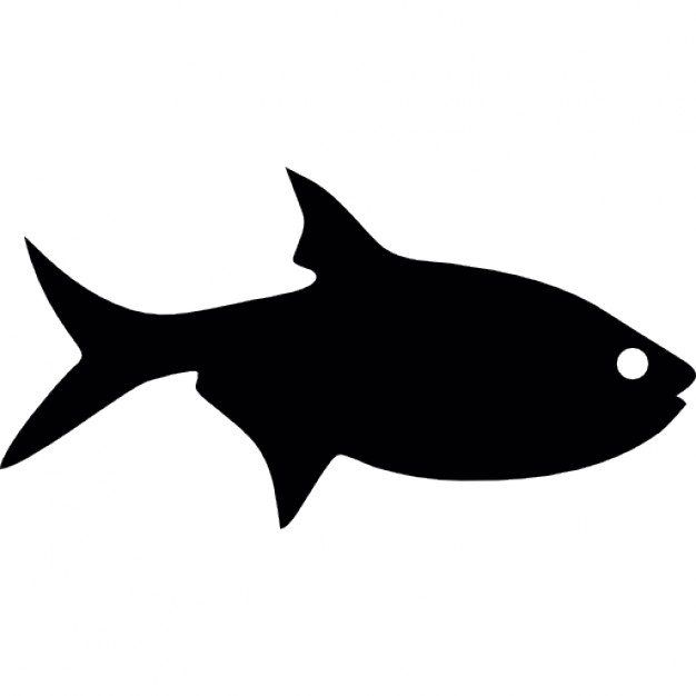 626x626 Fish Silhouette Free