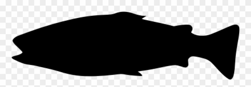 880x306 Fish Silhouette Vector Illustration