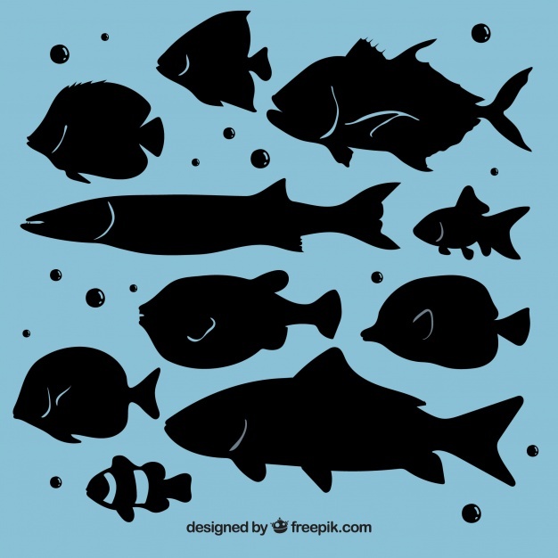 626x626 Fish Silhouette Vectors, Photos And Free Download