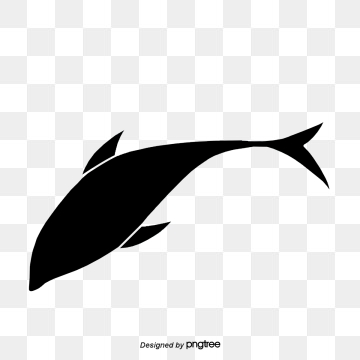 360x360 Fish Vector, Graphic Resources For Free Download