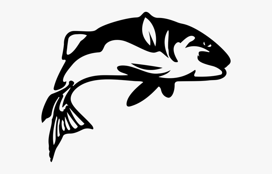 Download Fish Silhouette Vector at Vectorified.com | Collection of ...